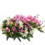 MUM ORCHID IN RECTANGLE PLASTIC POT 50X28X22CM LAVENDER
