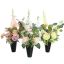 ROSE ORCHID ARR IN VASE 20X50CM ASSORTED