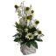 RUDBECKIA/GERBERA ARRANGEMENT IN POT CREAM