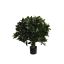 PLASTIC LAUREL BALL IN POT 66CM GREEN
