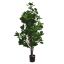 CLUSIA TREE 120CM GREEN