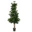 SWEET LINK TREE 175CM GREEN