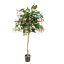 FUCHSIA TREE 98 FLS H 110CM PINK