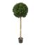 BOXWOOD BALL 107CM GREEN