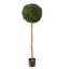 BOXWOOD BALL 135CM GREEN