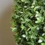BOXWOOD BALL 72CM GREEN