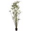 CYPERUS PLANT X 32 190CM GREEN