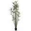 CYPERUS PLANT X 32 205CM GREEN