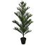 NORFOLK PINE TREE 150CM GREEN