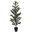 NORFOLK PINE TREE 180CM GREEN