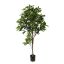 SHIKIBA TREE 120CM GREEN