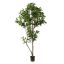 SHIKIBA TREE 130CM GREEN