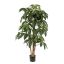 SCHEFFLERA TREE 145CM GREEN