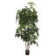 SCHEFFLERA TREE 195CM GREEN