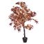 JAPANESE MAPLE 125CM BURGUNDY