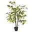 JAPANESE MAPLE 125CM GREEN