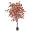 JAPANESE MAPLE 180CM BURGUNDY
