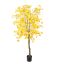 GOLDEN GINGKO 180CM YELLOW
