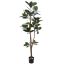 SLIM RUBBER PLANT 180CM GREEN