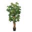 BABY SCHEFFLERA 150CM WHITE GREEN