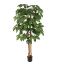 SCHEFFLERA 150CM GREEN