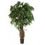 MULTI VINE MANGO 150CM GREEN
