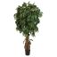 MULTI VINE MANGO 180CM GREEN
