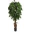 MULTI VINE MANGO 210CM GREEN