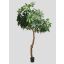 GIANT SHEFFLERA CLOUD TREE 240CM GREEN