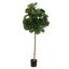 FIDDLE LEAF TREE 150CM GREEN