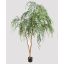 CHINESE WILLOW TREE 250CM GREEN