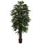 RHAPSIS PALM X6 200CM GREEN
