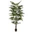 FISHTAIL PALM 180CM GREEN