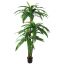 DRACEANA TREE 150CM GREEN