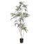 SLIM ARALIA 180CM GREEN