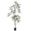SLIM ARALIA 210CM GREEN