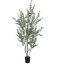 EUCALYPTUS GLOBULUS TREE 210CM GREEN