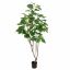 BANYAN TREE 180CM GREEN