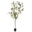 JAPONICA TREE 210CM GREEN