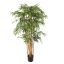 BAMBOO FANCY 150CM GREEN