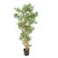 JAPANESE BAMBOO X 9 145CM GREEN