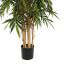 BAMBOO W/GIANT TRUNKS 200CM GREEN