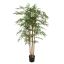 JAPANESE BAMBOO 150CM GREEN