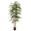 JAPANESE BAMBOO 180CM GREEN