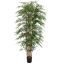 BAMBUSA BAMBOO 180CM GREEN