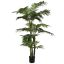 AMERICAN ARECA PALM 150CM GREEN