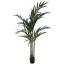 KENTIA PALM X12 180CM GREEN