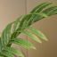 HAWAIIAN PALM 150CM GREEN