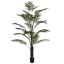 GIANT ARECA PALM X 24 270CM (K.D. packing)