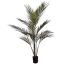 ARECA PALM IN POT 100CM GREEN